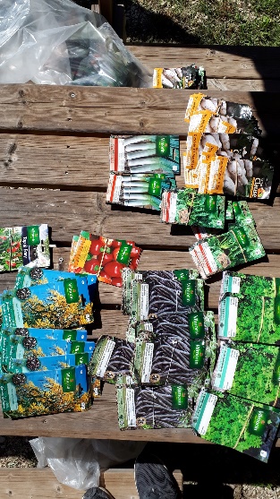 Sachets de graines posés sur une table